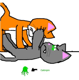 Infinity_(Artist) Kitten Mike Paulo (640x650, 57KB)