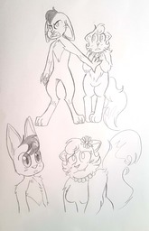 Abbey AbbeyxDaisy Daisy Dovewing_(Artist) (2244x3488, 381KB)