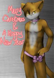 Christmas Paulo Radial_(Artist) (563x815, 257KB)