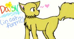 Akacatgirl_(Artist) Daisy (708x374, 232KB)