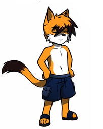 Paulo Raxki_(Artist) (443x555, 72KB)