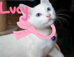 edit Jocelynn1112_(Artist) Lucy (256x197, 13KB)