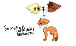 Abbey AbbeyxDaisy Besu_(Artist) Daisy Kitten Paulo (600x360, 88KB)