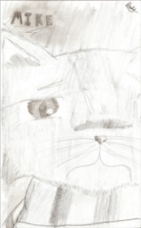 Mike sketch Sparkfur_(Artist) (385x618, 352KB)