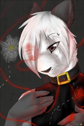 Augustus Felocity_(Artist) (490x735, 404KB)