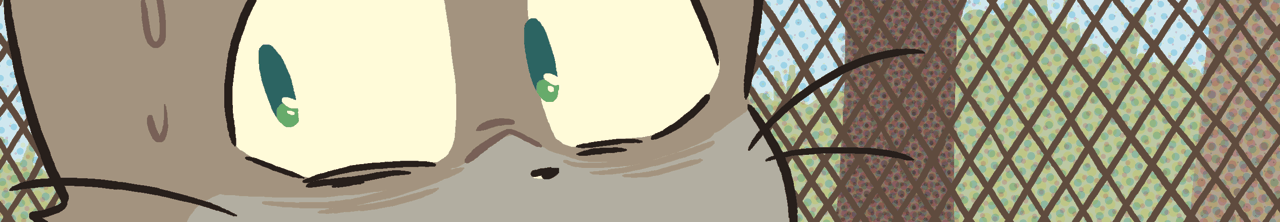 A preview of the upcoming BCB page.